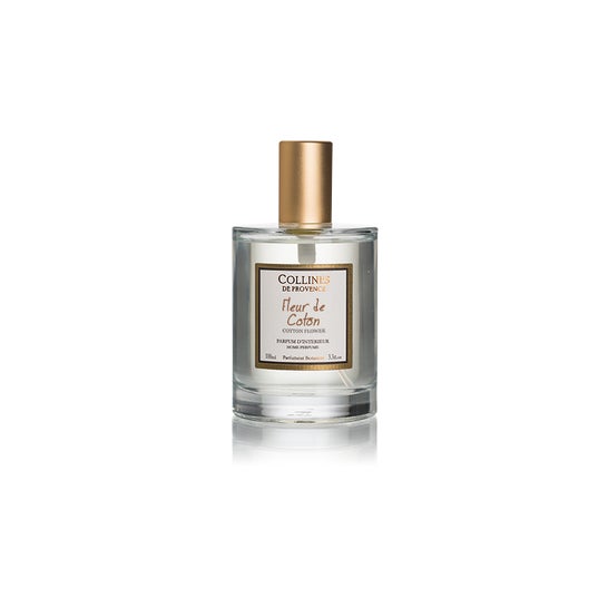 Air Wick Désodorisant Maison Kit Diffuseur Electrique + 3 Recharges Parfum  Vanille & Orchidée X 19 Ml : : Cuisine et Maison