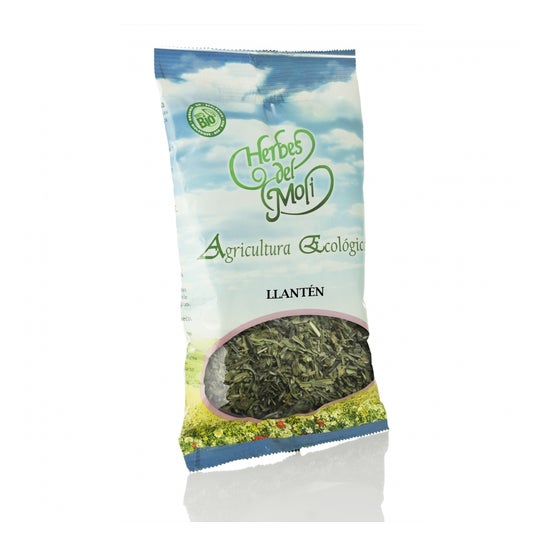 Llantén Hojas 45 Gr *