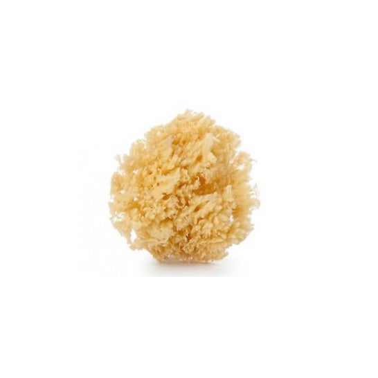 Suavinex® grande éponge naturelle 1 pièce