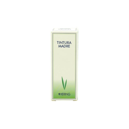 Hering Echinacea Angustifolia Tintura Madre 1L