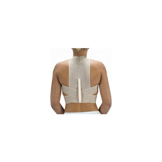 Orliman Trellis T-1 Et-210-1