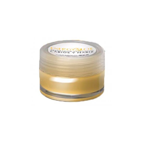 Energyaloe Intensive Lip and Nose Repair 15ml