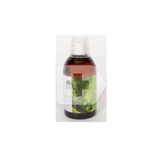Sotya jus d'aloe vera 500ml