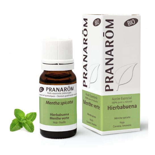 Acheter Pranarôm huile essentielle immortelle 5ml sur