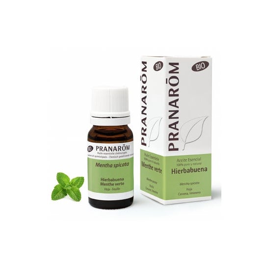 Menthe Verte Pranarom He Bio 10ml