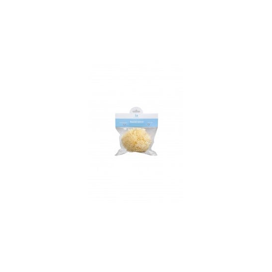 Interapothek esponja natural grande grande 1ud