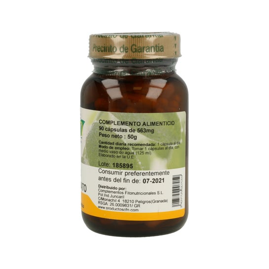 CFN Zinc Gluconato 90caps