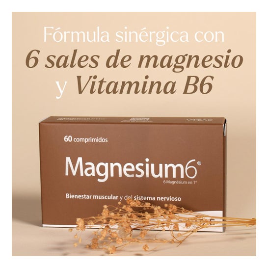 Vitae Magnesium6 120 comp