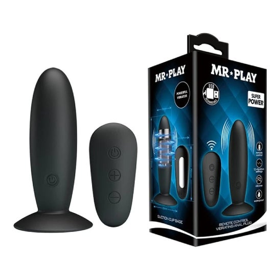 Mr. Play Plug Anal Vibrant avec Télécommande 1 Unité