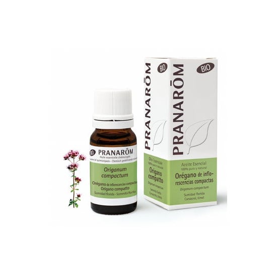 Pranarôm Bio Huile Essentielle Origan À Inflorescences Compactes 10 ml
