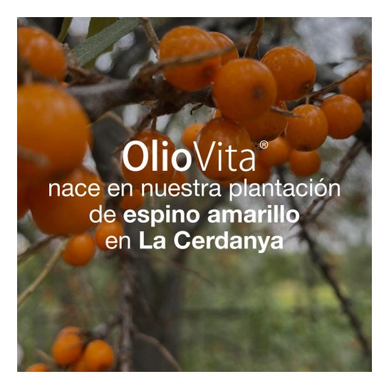 Vitae Oliovita 60caps