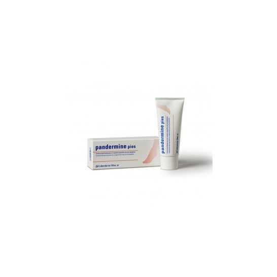 Pandermine pieds 100ml