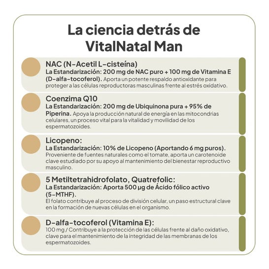 IVB Wellness Lab VitalNatal Man 60caps