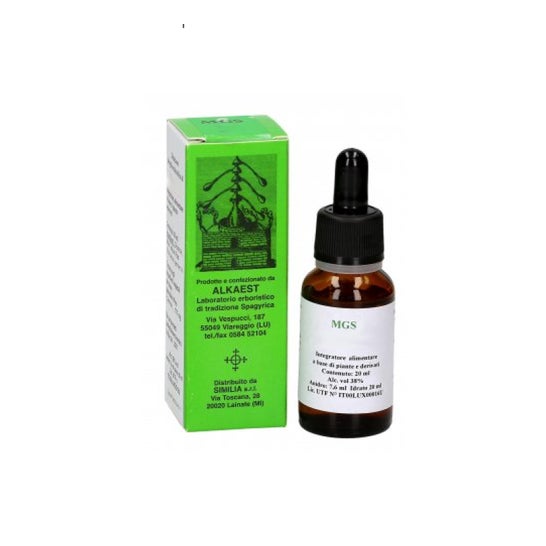 Alkaest mgs3 Birch Macerated Glyceric Spg 20ml