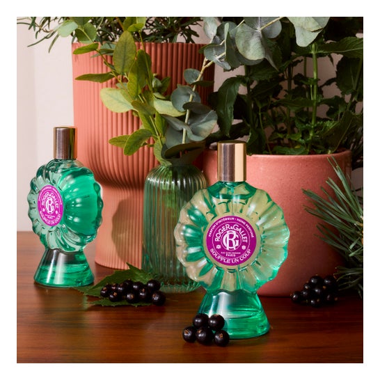 Roger & Gallet Parfum d'Ambiance Souffle Un Coup 100 ml