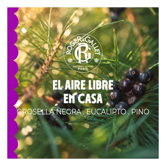 Roger & Gallet Parfum d'Ambiance Souffle Un Coup 100 ml