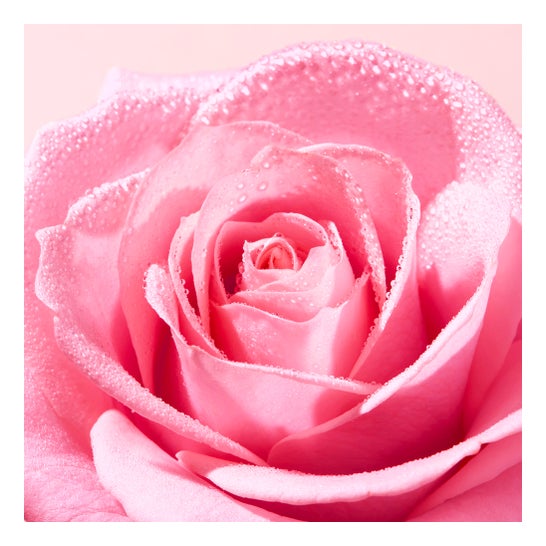 Nuxe Very Rose Eau Micellaire Démaquillante Apaisante 100ml