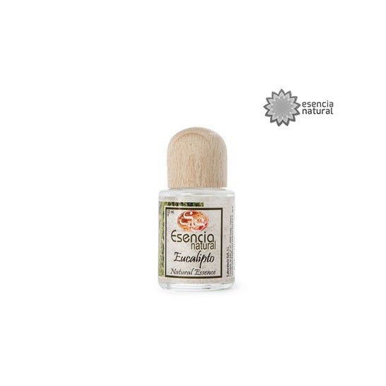 Essence naturelle Eucalyptus 12ml