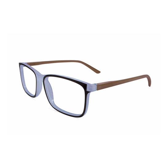 Twins Optical Lunettes Lecture Gold Samsara Gris +1,5 1ut