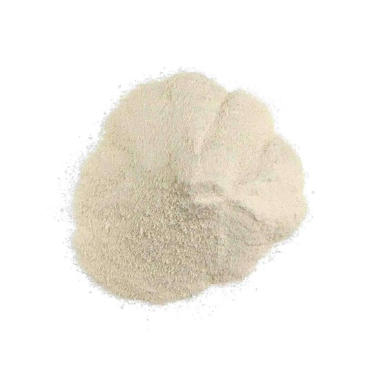 HSN Colágeno Hidrolizado Bovino en Polvo 500g