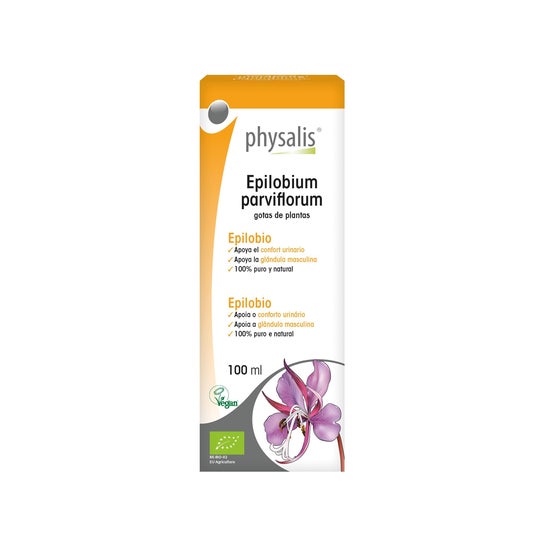 Physalis Epilobium Extrait Hydroalcoolique Bio 100ml