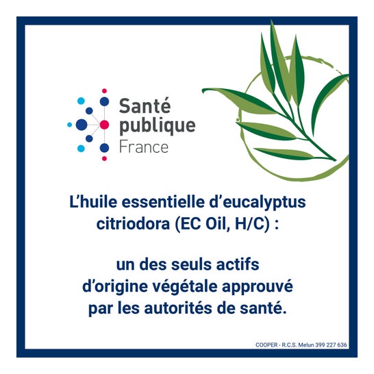 Insect Écran Brume Anti-Moustiques Actif Végétal 100ml