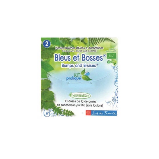 Phytofrance Lapht Kit Pratique N2 Bleus et Bosses 10 doses