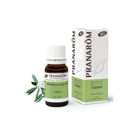 Pranarôm Huile Essentielle de Cajeput BIO 10 ml