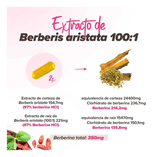 HSN Berberina 175mg y Cardo Mariano Silimarina 210mg Complex 120vcaps