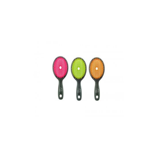 Beter Deslia Oval Brush Brush Brush Brush