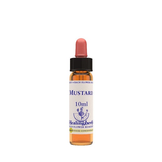 Moutarde Ess 10Ml Anglais B021 Her