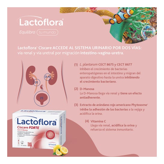 Lactoflora Ciscare Forte 10 Sachets