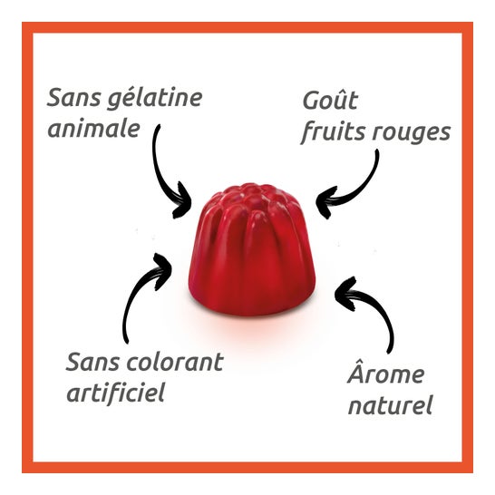 Vitascorbol Énergie 50 Gommes