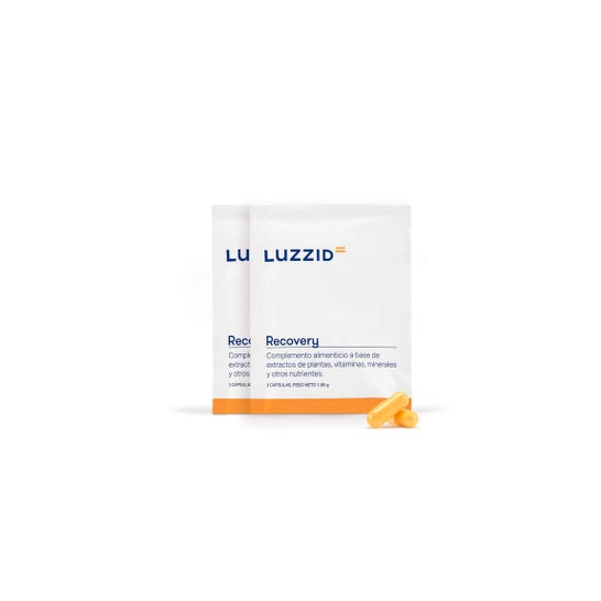 Luzzid Recovery 2x3 Capsules