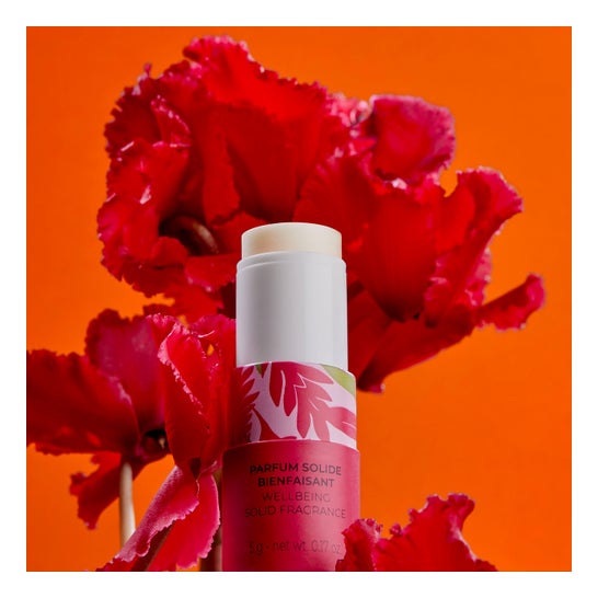 Roger & Gallet Gingembre Rouge Parfum Solide Bienfaisant 5g
