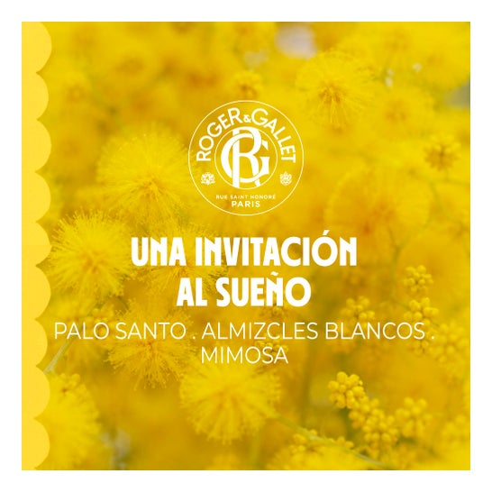 Roger & Gallet Parfum d'Ambiance Cocooning 100 ml