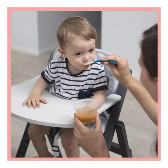 Babymoov Babybols Set Conservador de Alimentos Multicolor 6uds