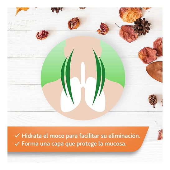 Sirop 2 en 1 à base de plantes bisolées 180 g