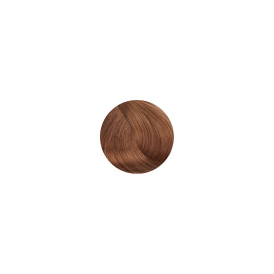 Loreal Majirel 6 50 Ml