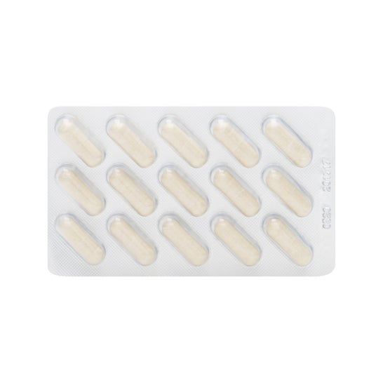 Vital Plus 30 gélules