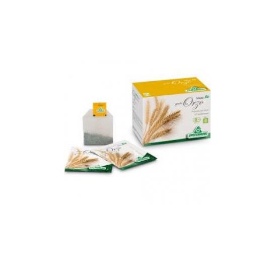 INFUSION ORGE 20 SACHETS