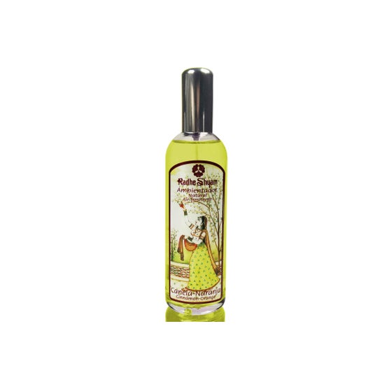 Radhe Shyam Désodorisant Cannelle Orange 100ml