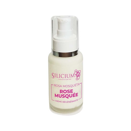 Silicium de l'églantier 50ml