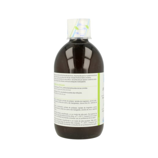 Nutergia Ergysil Bottle Solution Bouteille 500 Ml