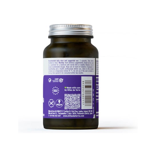 Hifas da Terra Hifa Microbiote 60caps
