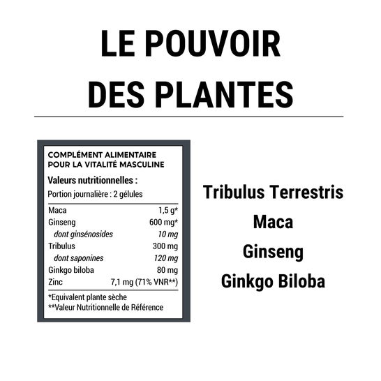 Laboratoires Enova Formule Homme 60 Gélules