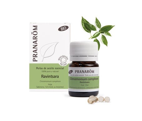 Pranarôm Ravintsara 60 Perles