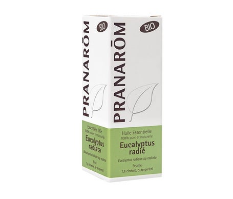 Pranarôm Bio Huile Essentielle Eucalyptus Radié 10 ml