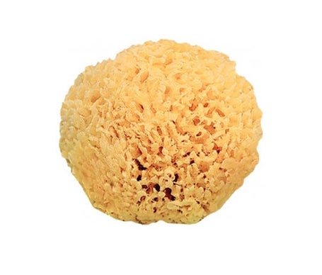 Saro Éponge naturelle +0m