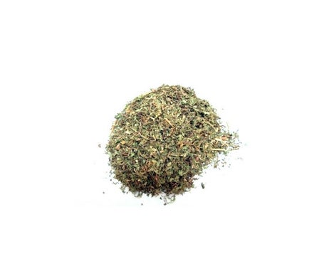 La Flor del Pirineo Stevia Cut Plant 1Kg